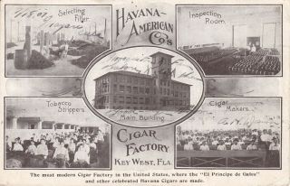 Old Vintage Postcard Havana - American Co.  Cigar Factory Key West Florida