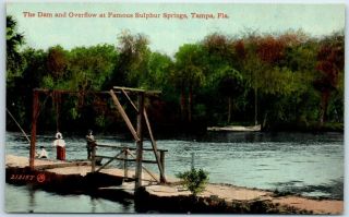 Tampa,  Florida Postcard " Dam & Overflow In Famous Sulphur Springs " C1910s
