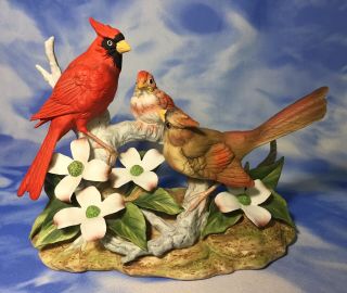 Htf Large Andrea By Sadek Porcelain " Cardinal Family " Birds Figurine 7559 Rguc