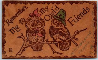 1906 Williamsport,  Pa Leather Postcard " Remember Me To My Owl 