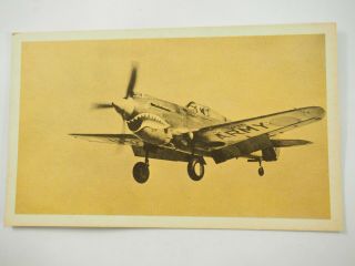 Curtiss P - 40 Warhawk U.  S.  Air Force Photo Card 20