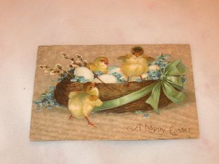 Vtg.  Easter Postcard Baby Chicks W/eggs In Basket W/pussy Willow & Blue Flowers