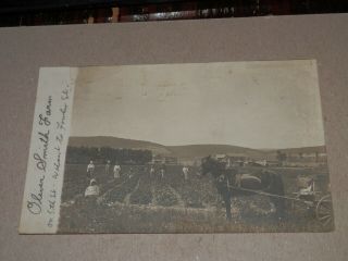 Berwick Pa - 1907 - 1917 Real - Photo Postcard - Oliver Smith Farm - 5th Street