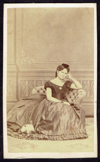 Cdv Photo 1860s Cute Lady With Dog,  Sopronban (2855)