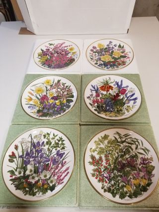 Franklin Porcelain Wedgwood Flowers Of The Year Set Of 6 Plates 1977 Limited