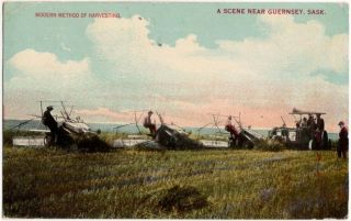 Guernsey,  Sk - Modern Method Of Harvesting