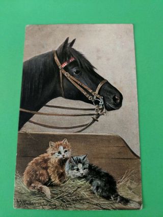 Cat Vintage Postcard.  Two Kittens In Hay.  Horse.  British.  Date 1904.