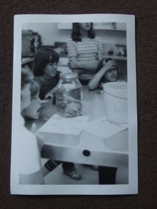 Girls Making Faces At Jar Of Unborn Foals In Science Class Vtg 1970 