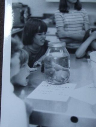 GIRLS MAKING FACES AT JAR OF UNBORN FOALS IN SCIENCE CLASS Vtg 1970 ' S PHOTO 2