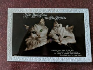 Cat Vintage Postcard.  Rppc.  Birthday.  2 Cats.  No Date.  British.  Embossed Border.