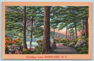 Postcard Ny Maryland Scenic Greetings From Maryland York Linen O03
