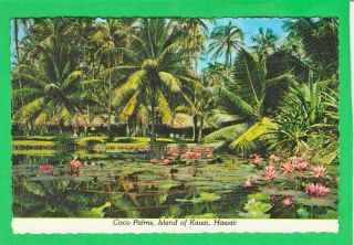 Postcard Coco Palms Island Of Kauai Hawaii Vintage 7499