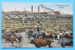 Old Postcard Union Stock Yards,  Chicago,  Illinois,  1915