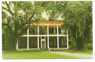 Vintage Louisiana Chrome Postcard Magnolia Plantation Ante Bellum Near Houma