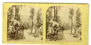 Winter In The Adirondacks By B.  Bishop,  Russia Ny Ii