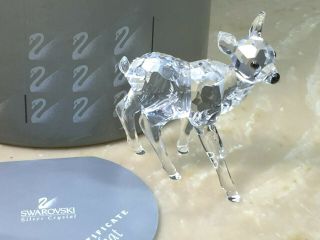 Swarovski Crystal Figurine Fawn Deer Standing 7608 000 001 / 183271 Mib W/coa