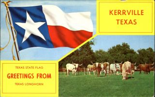 Greetings From Kerrville Texas State Flag Texas Longhorn 1970s