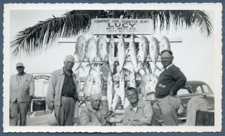Vintage Photo Snapshot 1950s Key West Florida Fish Caught Charter Boat Lucy.  B2