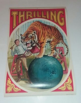 Vintage Kraft Litho 1960s Double Sided Circus Poster 38 X 25 " Thrilling " Tiger