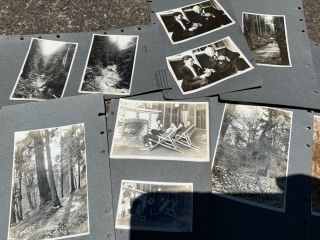 Antique photo album Washington state 1920’s Boy Scout Nature trip 80 snapshots 5