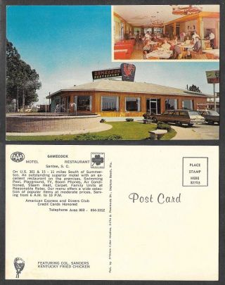 Old South Carolina Postcard - Santee - Gamecock Motel,  Restaurant