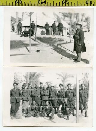 (2) Vintage Wwii Photos / Pow Camp - Italian Prisoners Of War In North Africa
