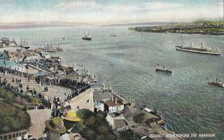 Overlooking Harbour Quebec Qc Canada 1907 - 15 Illustrated Postcard Co.  Postcard