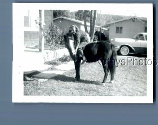 Found B&w Photo D_8991 Girl Sitting On Horse In Yard