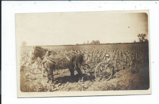 Real Photo Postcard Post Card Farming Horse Drawn Cultivating Corn 7