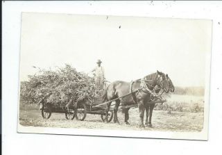 Real Photo Postcard Post Card Horse Drawn Wagon Farming Corn