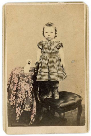Girl With Staffordshire Dog Holding A Basket 1860s Cdv Photo Frankford Pa
