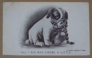 1906 V.  Colby Postcard,  Dog,  All I Did Was Growl A Little
