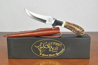 German Bull Stag Horn Handle Fixed Blade Knife Model No 100 8.  5 " Total 4 " Blade