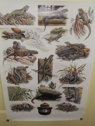 Vintage Smokey The Bear Poster U.  S.  Forest Service Educational Forest Lizzards