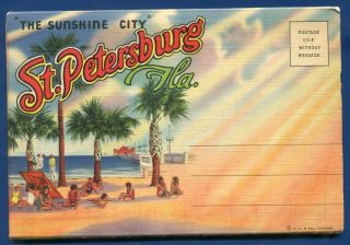 St Petersburg Florida Kennel Club Dog Racing Yacht Basin Postcard Folder.