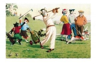 Alfred Mainzer Cat Postcard 4883 Dressed Cats Playing Golf