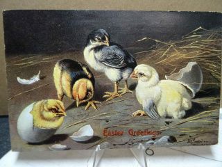 1909 Easter Postcard Colorful Baby Chicks Artist Signed