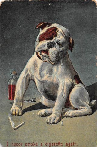 Sick,  Weeping Bulldog Says - I Never Smoke A Cigarette Again - Old Comic Postcard