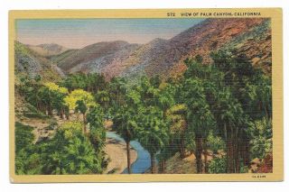 Vintage California Linen Postcard View Of Palm Canyon
