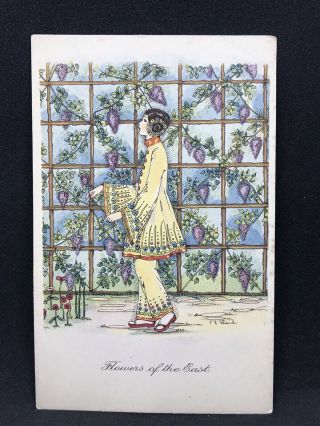 Vintage Art Deco Postcard Flowers Of The East By C.  E Shand,  British Art Co 1930s