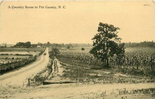 North Carolina,  Nc,  Country Scene In Pitt County 1913 Postcard