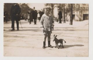 Cute Boy Pose W/steiff Donkey Pull Toy On Street Vintage 1920s Orig Photo 53820