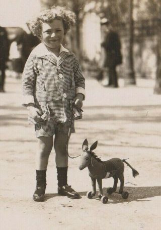 Cute Boy Pose w/Steiff Donkey Pull Toy on Street Vintage 1920s Orig Photo 53820 2