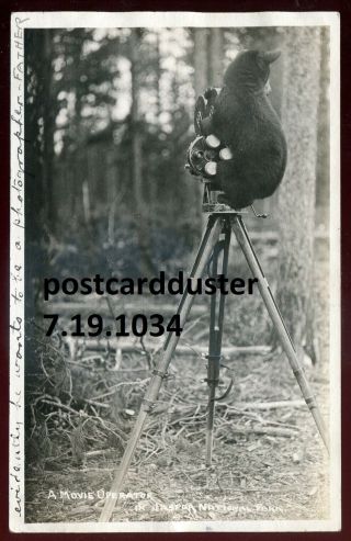 1034 - Jasper Park Alberta 1923 Bear With Movie Camera.  Real Photo Pc By Slark