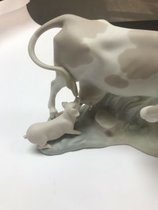 Lladro Figurine,  Cow With Pig,  4640 6
