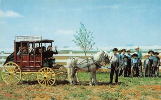 C21 - 3686,  Amish Children,  Pennsylvania.