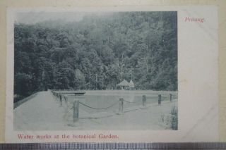 1905 Penang To Singapore Botanical Garden Real Photo Postcard