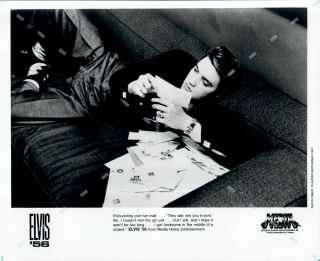 Rare Press Publicity Promo Photo " Elvis " 56 " Young Elvis Presley W/fan Mail 8x10