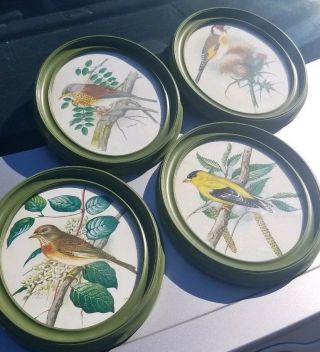 Ph.  Gonner Bird Prints (set Of Four) Vintage Green Oval Frames 8×10