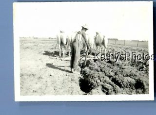 Found B&w Photo D_4134 View Of Farmer In Field With Horses